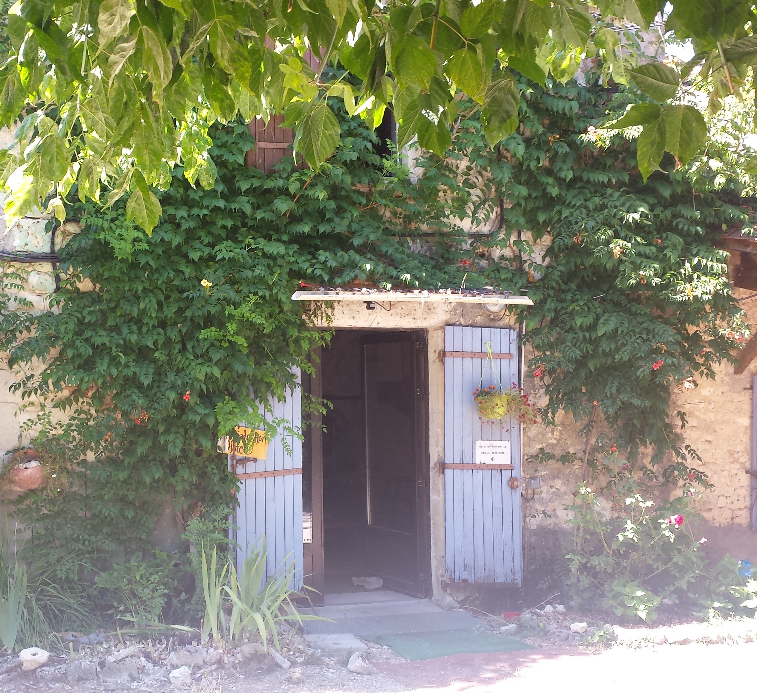 Das BIld zeigt eine offene Tür zu einem bewachsenen Steinhaus